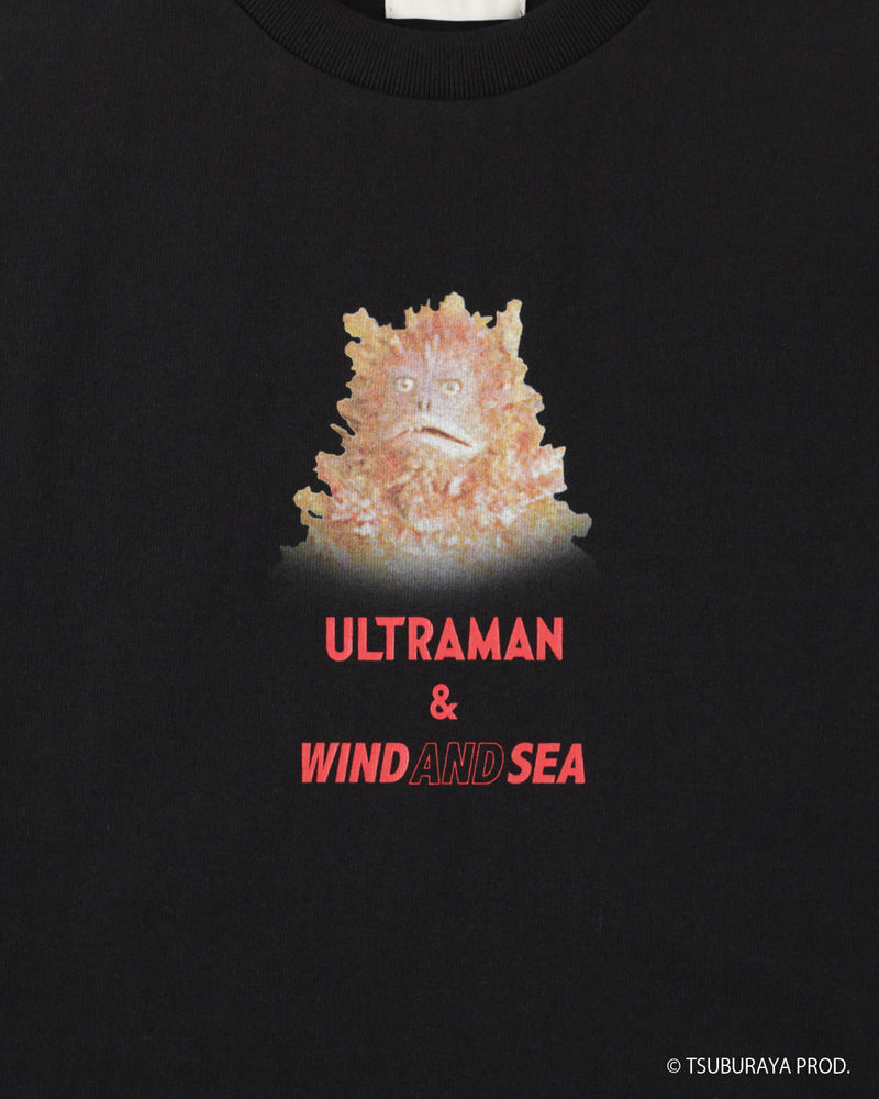 PIGMON L/S TEE