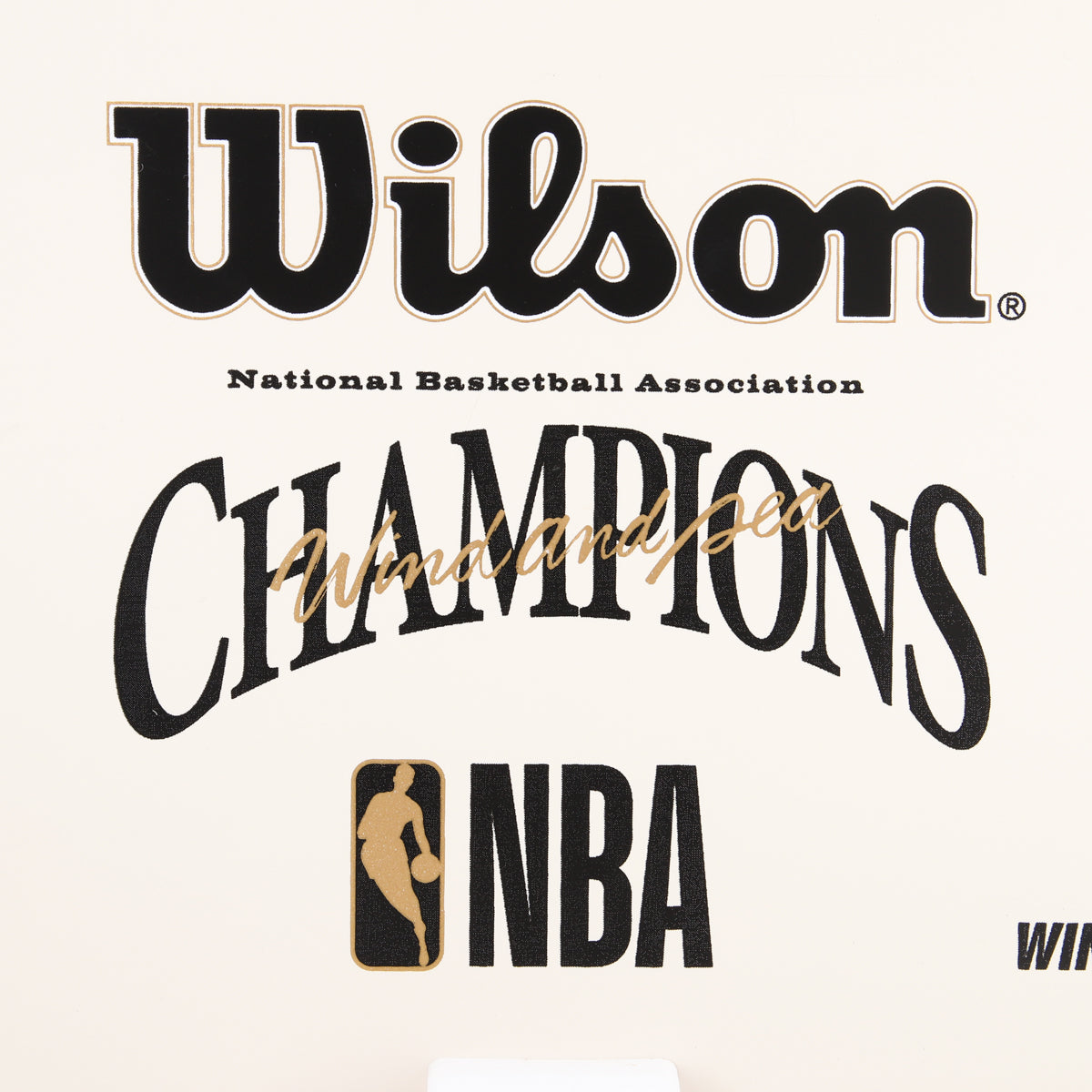 NBA CHAMPIONS x Wilson x WDS MINI HOOP