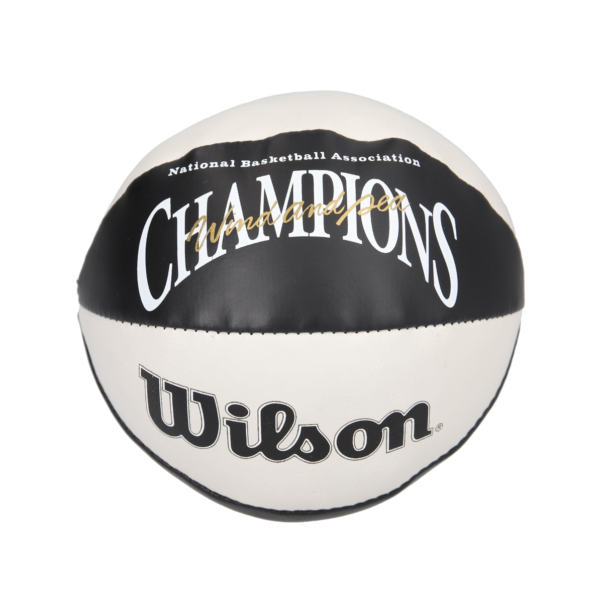 NBA CHAMPIONS x Wilson x WDS MINI HOOP