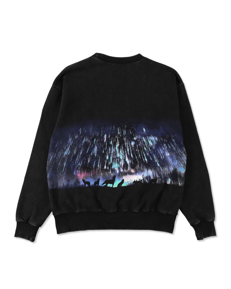 AURORA CREWNECK SWEATSHIRT