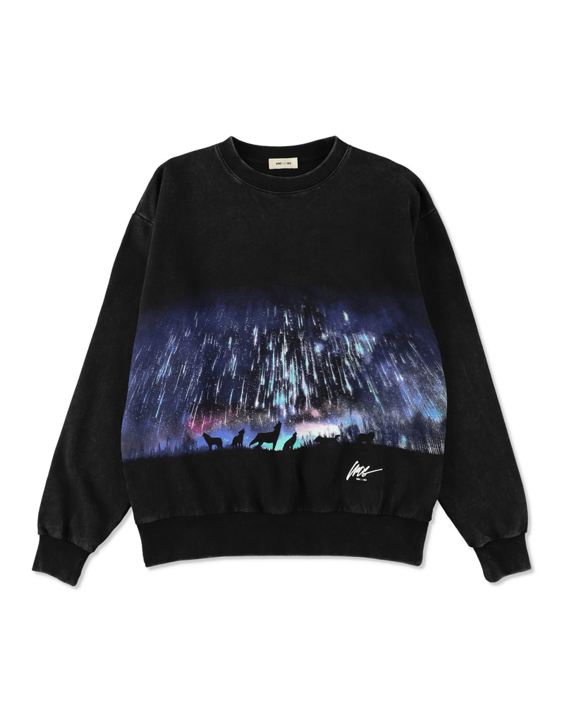 AURORA CREWNECK SWEATSHIRT