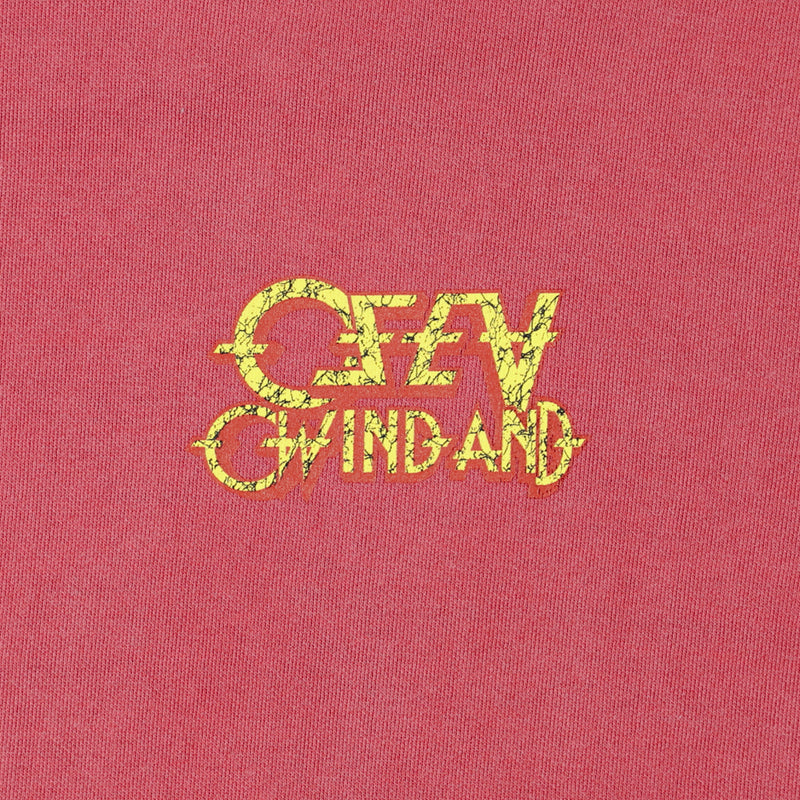 Thrash Heritage Sulfer Hoodie