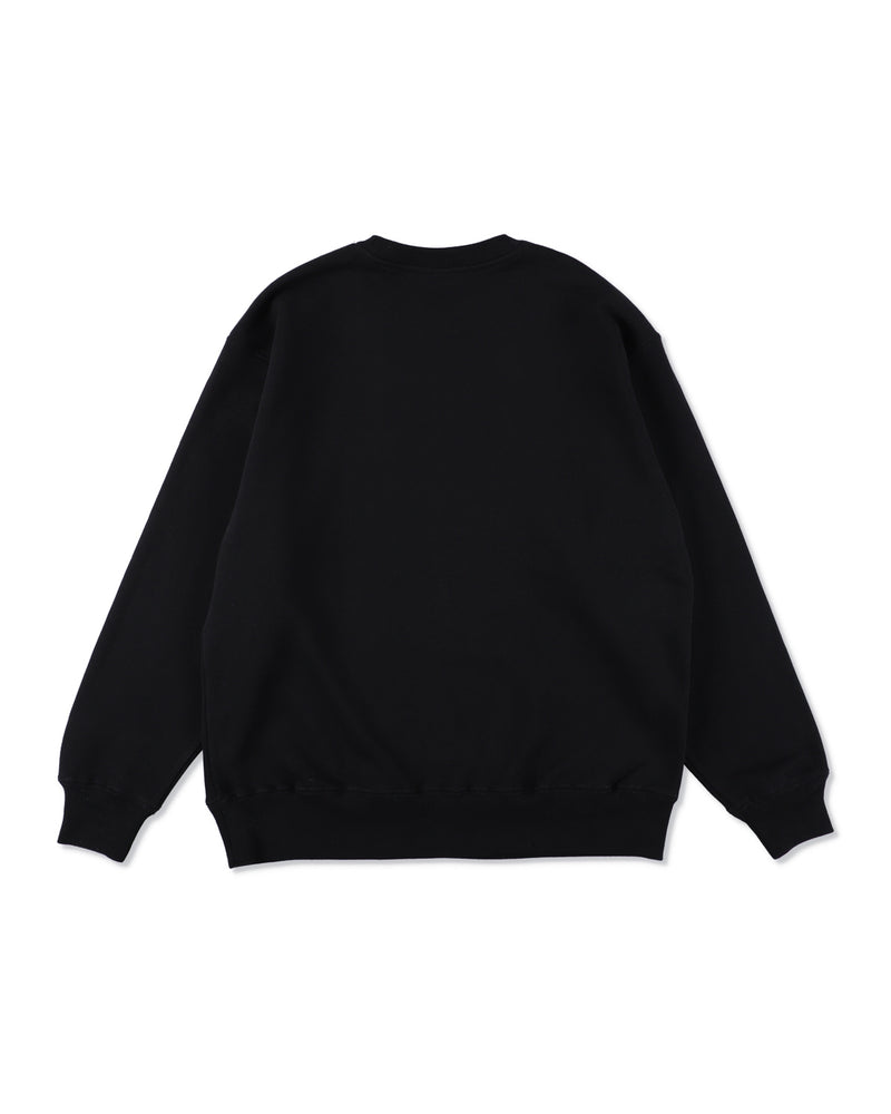 Satin Patch Crewneck Sweatshirt