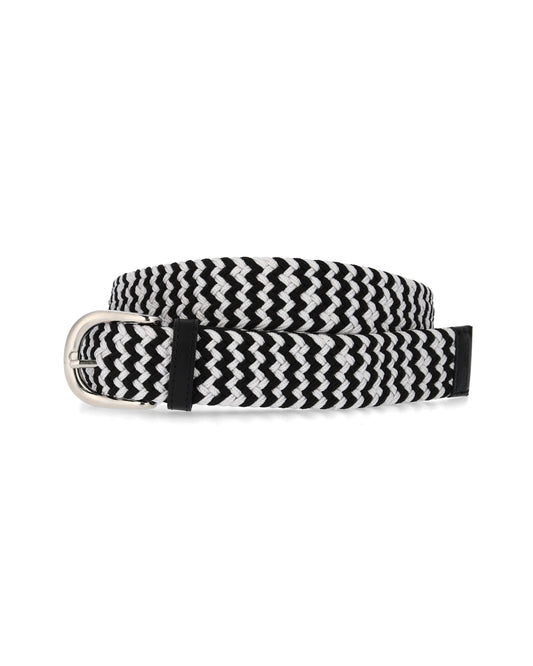 MESH BELT