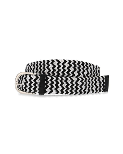 MESH BELT