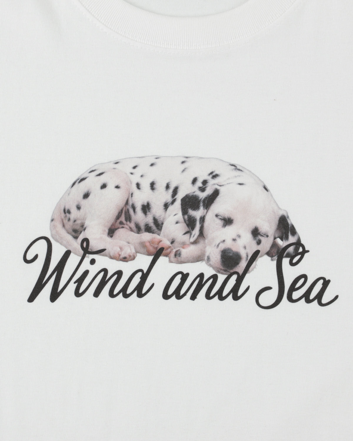 DOG LOGO S/S TEE