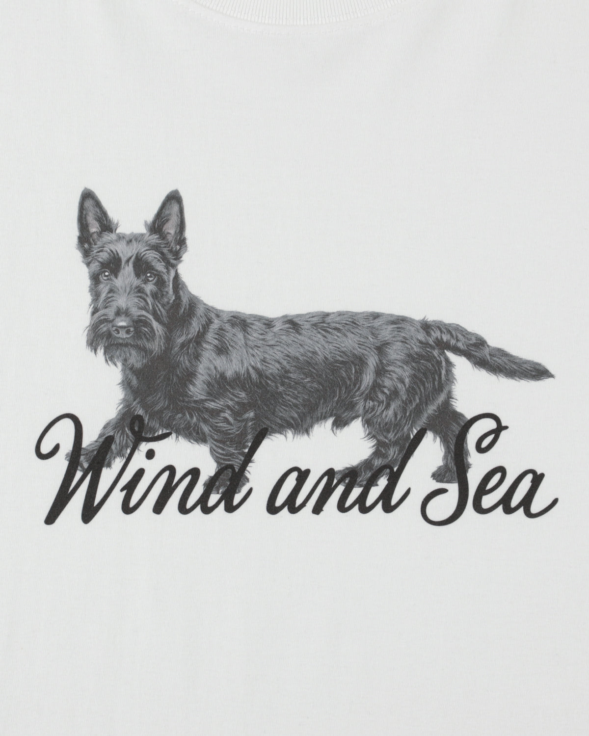 DOG LOGO S/S TEE