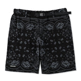 PAISLEY