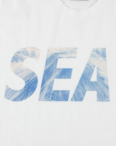 GOTEMBA DUAL FUJI S/S TEE