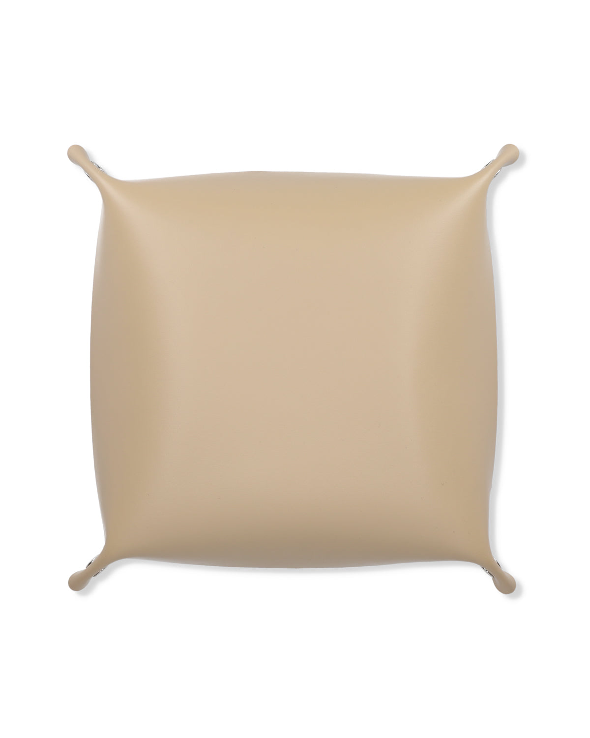 SEA LEATHER TRAY