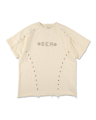 Sulfer Acid C-off S/S Top