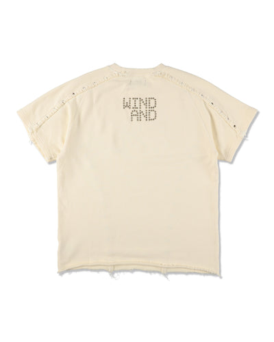 Sulfer Acid C-off S/S Top