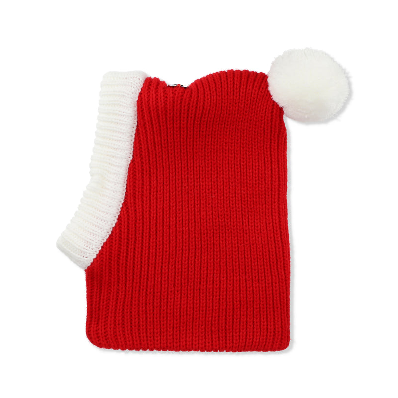 XMAS ANIMAL SANTA HAT
