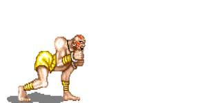 Dhalsim2