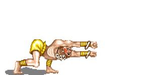 Dhalsim3